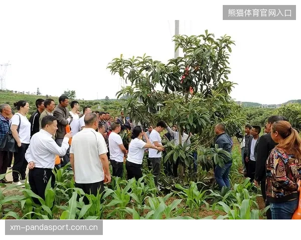 意甲体能训练革新推动教练组调整训练节奏